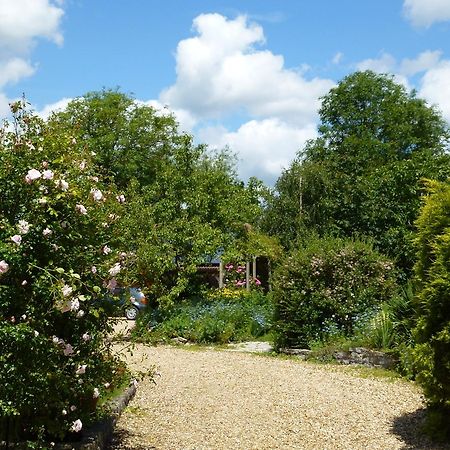 Sleepy Hollow Cottages Somerton  Extérieur photo